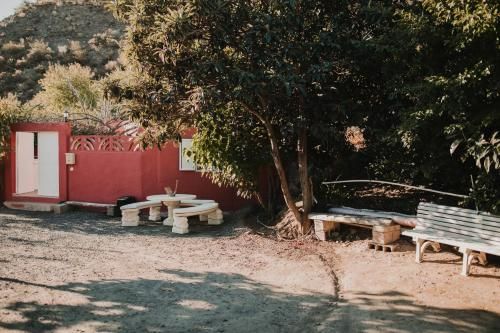 Outdoor Pictures 7