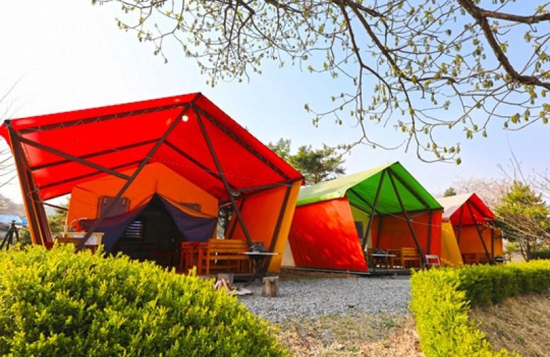 Gapyeong Hwangtoeun Pension & Glamping