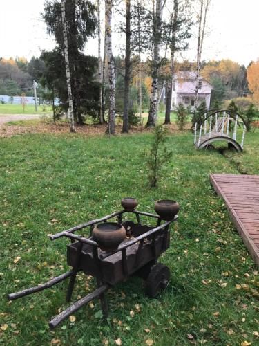Outdoor Pictures 7