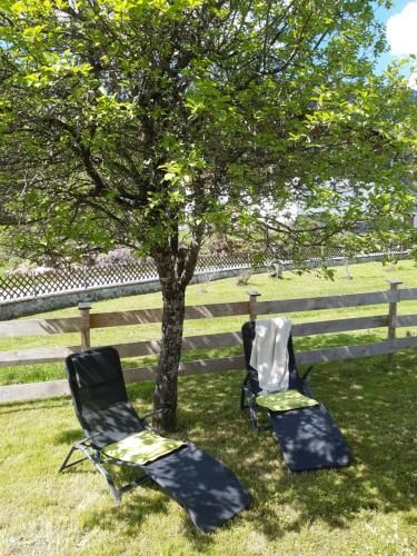 Outdoor Pictures 19