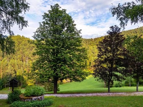 Outdoor Pictures 10