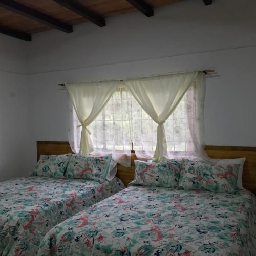 Finca Villa Elenita