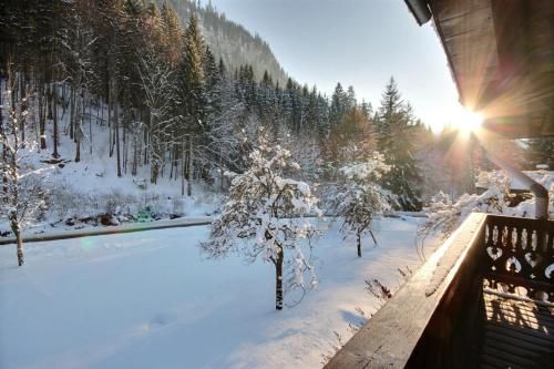Outdoor Pictures 4