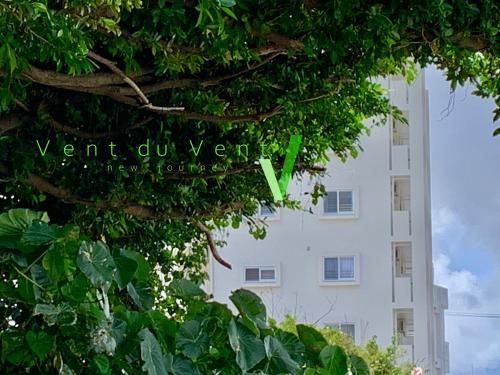 Outdoor Pictures 17