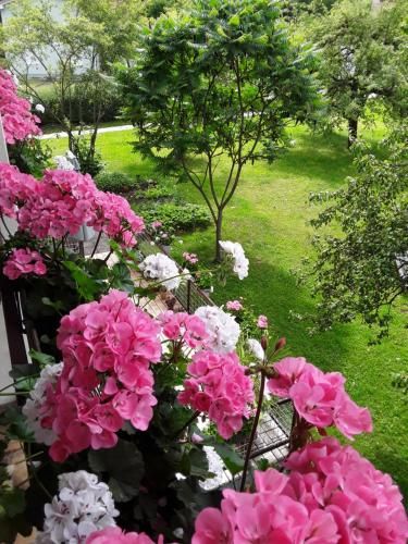 Outdoor Pictures 21