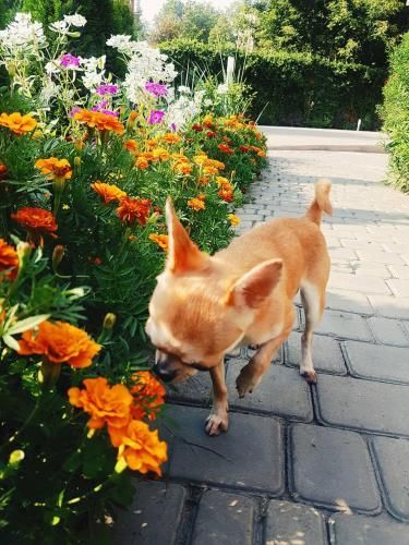 Outdoor Pictures 24