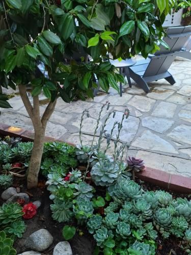 Outdoor Pictures 11