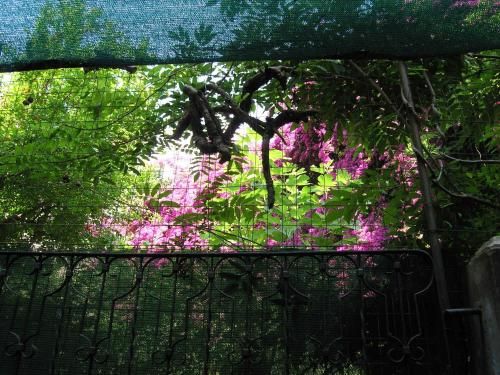 Outdoor Pictures 22