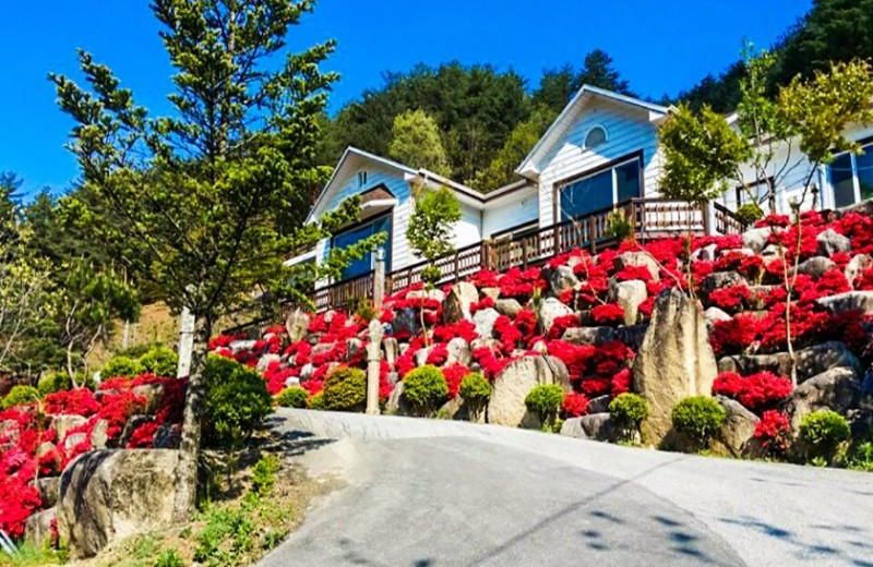 Gangneung Sunrise Pension