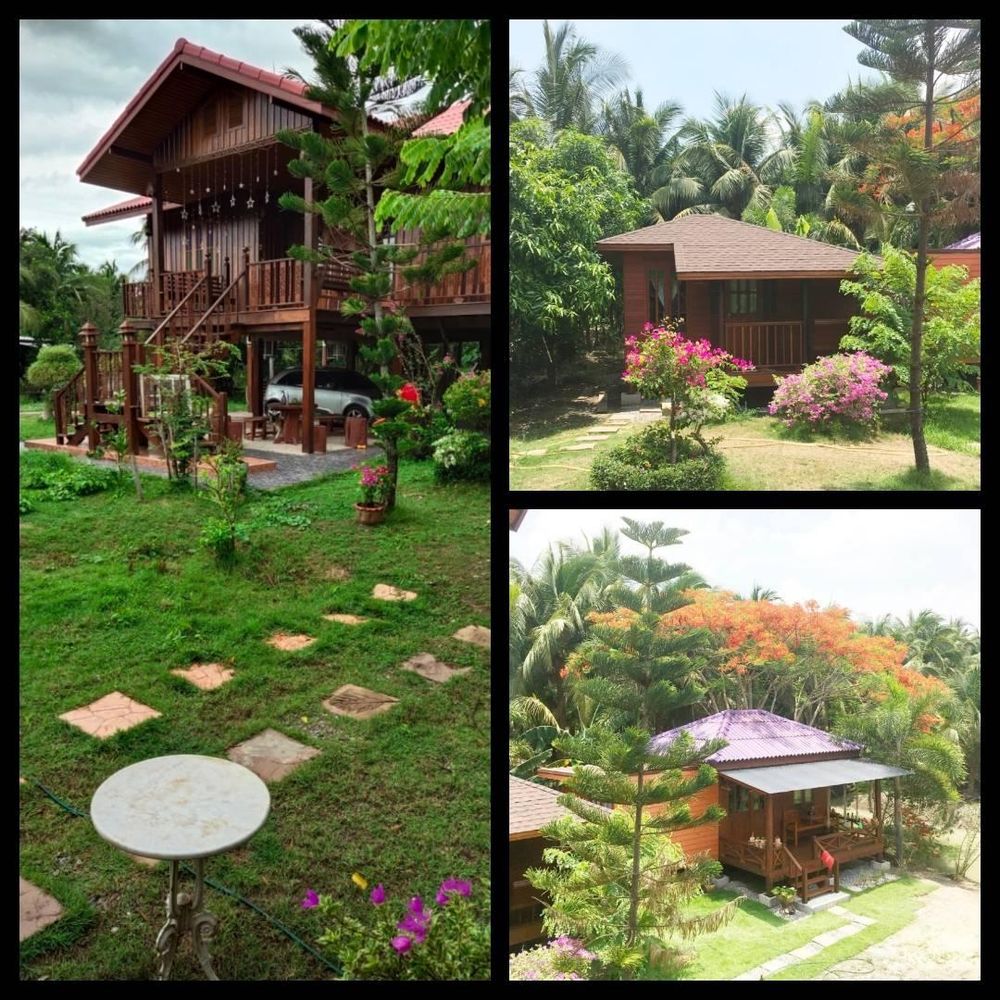 Outdoor Pictures 1