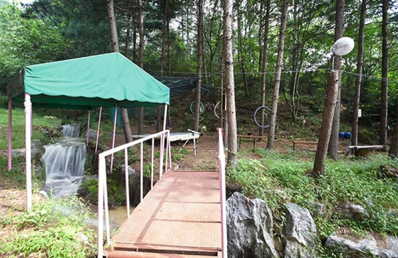 Gapyeong Evergreen Cabins Pension