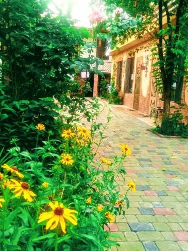 Outdoor Pictures 20