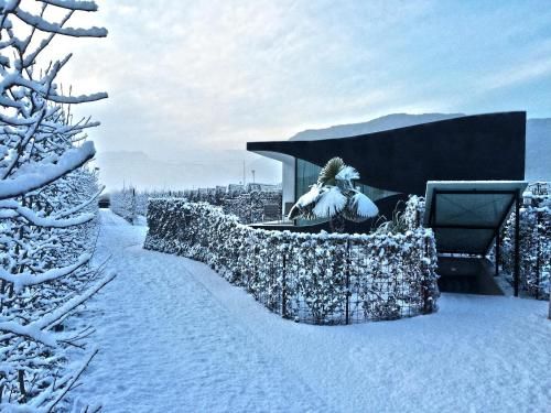 Outdoor Pictures 24