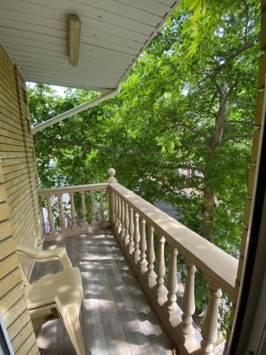 Outdoor Pictures 21