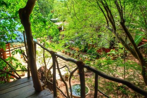 Outdoor Pictures 24