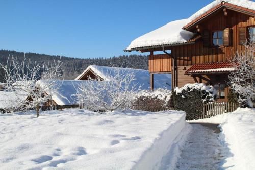 Outdoor Pictures 21
