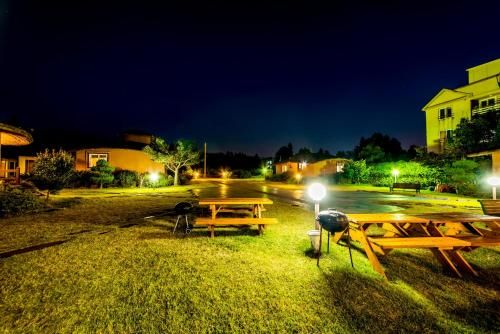 Outdoor Pictures 22