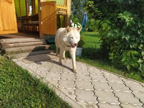 Outdoor Pictures 23