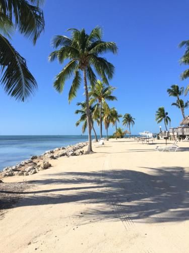 Caloosa Cove Resort & Marina