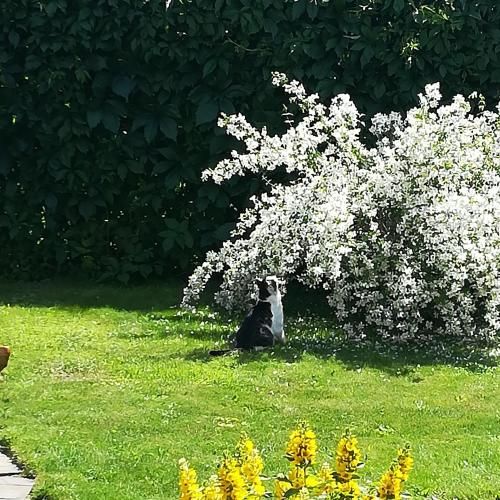 Outdoor Pictures 2