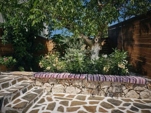 Outdoor Pictures 8