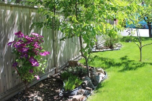 Outdoor Pictures 20