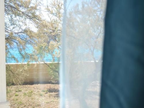 Outdoor Pictures 16