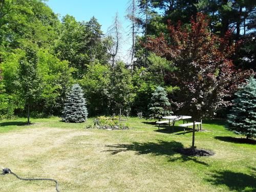 Outdoor Pictures 3
