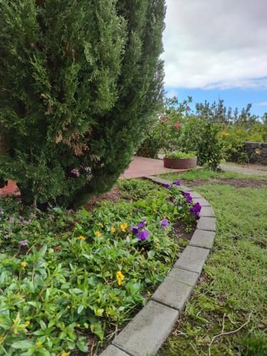 Outdoor Pictures 7