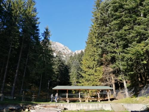 Outdoor Pictures 7