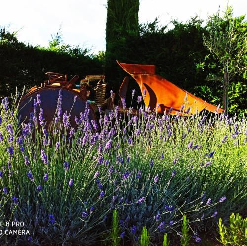 Outdoor Pictures 16