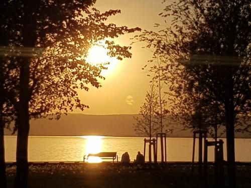 Outdoor Pictures 1