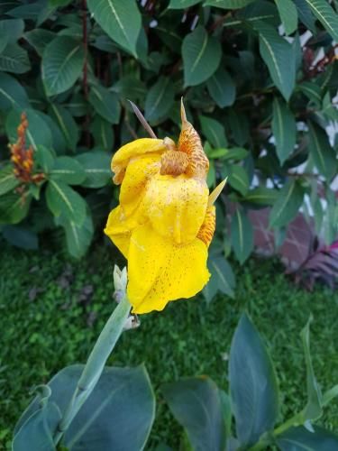 Outdoor Pictures 15