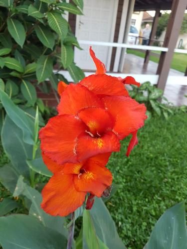 Outdoor Pictures 17