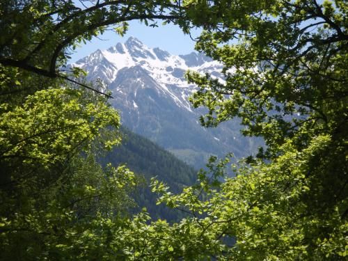 Outdoor Pictures 9