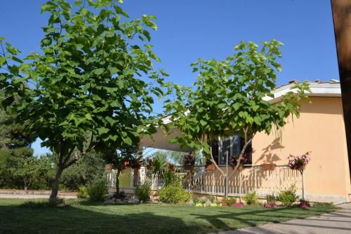 Outdoor Pictures 1