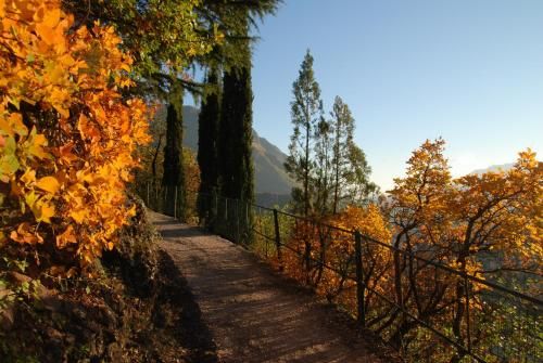 Outdoor Pictures 20