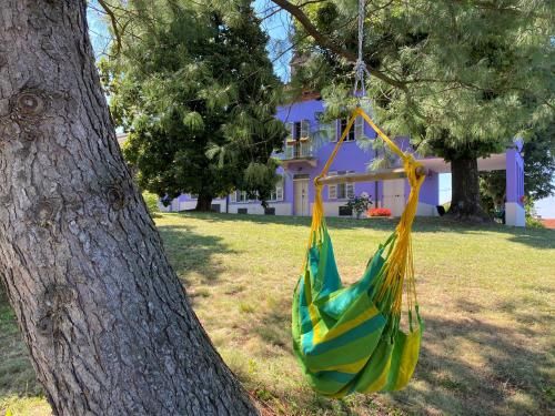 Outdoor Pictures 10