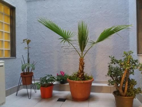 Outdoor Pictures 8