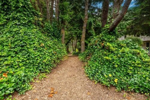 Outdoor Pictures 20