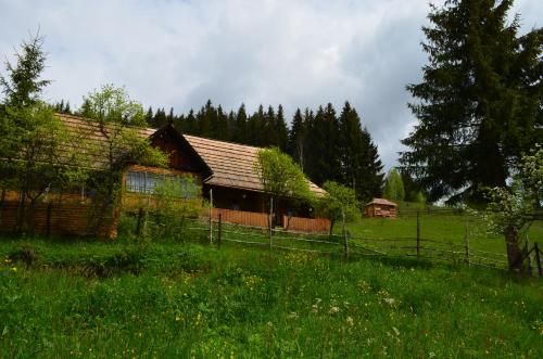 Outdoor Pictures 15