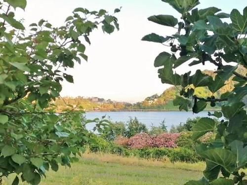 Outdoor Pictures 11