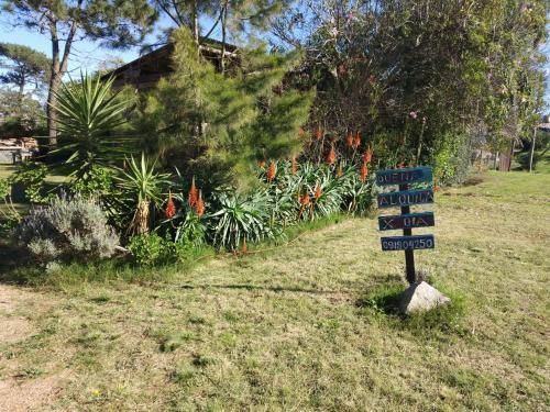 Outdoor Pictures 7