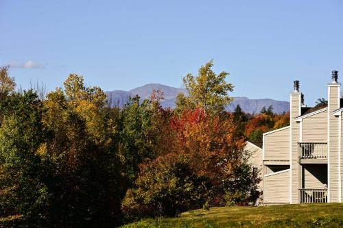 Outdoor Pictures 21