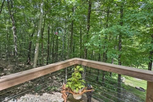 Outdoor Pictures 21
