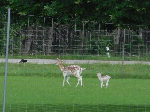 Pension Waldblick