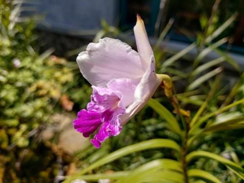 Outdoor Pictures 15