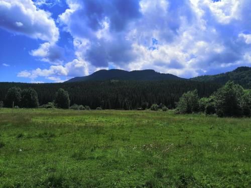 Outdoor Pictures 24