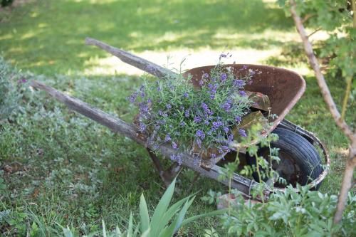 Outdoor Pictures 9