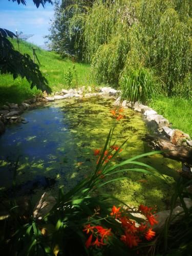 Outdoor Pictures 9